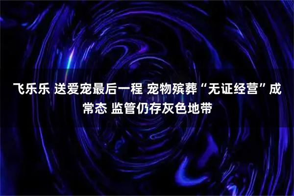 飞乐乐 送爱宠最后一程 宠物殡葬“无证经营”成常态 监管仍存灰色地带