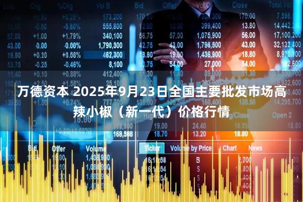 万德资本 2025年9月23日全国主要批发市场高辣小椒（新一代）价格行情