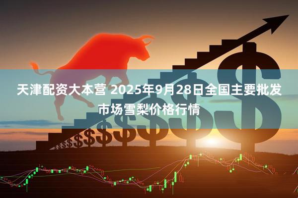 天津配资大本营 2025年9月28日全国主要批发市场雪梨价格行情