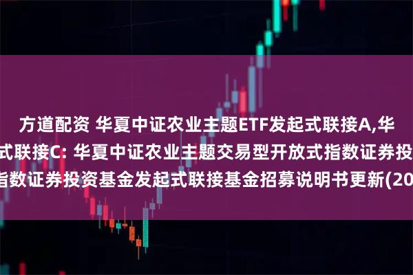 方道配资 华夏中证农业主题ETF发起式联接A,华夏中证农业主题ETF发起式联接C: 华夏中证农业主题交易型开放式指数证券投资基金发起式联接基金招募说明书更新(2025年5月30日公告)