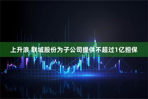 上升浪 联域股份为子公司提供不超过1亿担保
