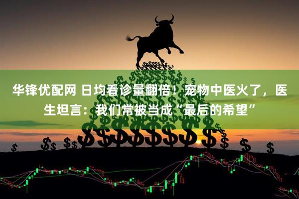 华锋优配网 日均看诊量翻倍！宠物中医火了，医生坦言：我们常被当成“最后的希望”