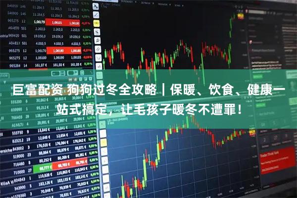 巨富配资 狗狗过冬全攻略｜保暖、饮食、健康一站式搞定，让毛孩子暖冬不遭罪！