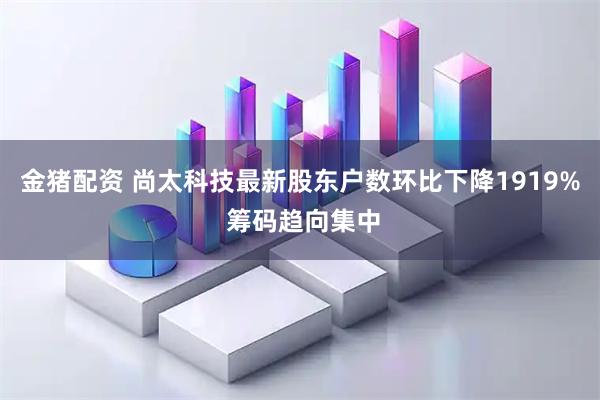 金猪配资 尚太科技最新股东户数环比下降1919% 筹码趋向集中